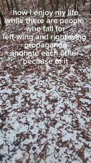 Understanding Natural Forest Ecosystems: Key Insights