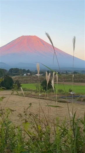 10月11日（日） 朝霧高原夕暮れの赤富士です #富士山#赤富士#綺麗#秋#夕暮れ 曲は表現として楽しんでいただけると嬉しいです✨🧚🏻✨🤗✨