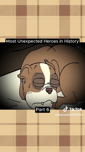 Most Unexpected Heroes in History#comic #cartoon #history #fpy #historytime