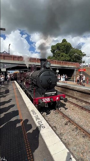 Steam Locomotive 3265 at the 2025 Hunter Valley Steamfest #trains #railway #transport #shorts