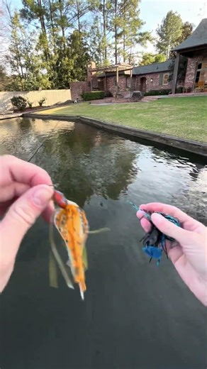 Figuring out what the fish want is easy with speed clips! #speedclips #jigs #lures #fishtok