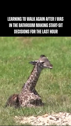 Where all my best fantasy football work gets done 😂 | FantasyPros