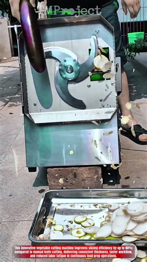 Vegetable Cutting Machine Technology : Power Precise Slice Control