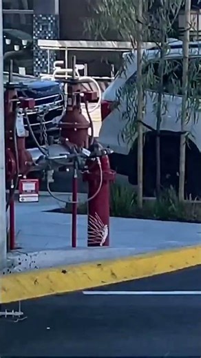 La forza del Corvo:distrugge le barriere anti uccelli!