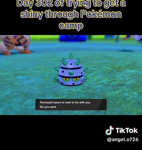 Day 302: Shiny Hunting in Pokémon Sword and Shield