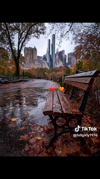 Celebrate Autumn: Embrace the Colors of Fall