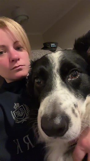 Understanding Fireworks Reactions in Dogs