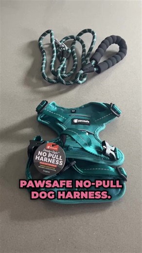 Ever go on walks and get frustrated because the harness is not good? If your dog "pushes and pushes" like Priscila's used to, you are battling the "Sled Dog" effect. The PawSafe Steady Style fixes the connection instantly. No more fighting. No more exhaustion. Just a good walk. ✔ Stops the pulling cycle instantly ✔ Improves connection with your dog ✔ Works from the very first walk Get a FREE matching leash with your order and stop the fuss today. | PawSafe