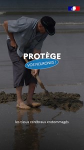 🐛 Journée mondiale de la vie : ce ver martin breton sauve des vies ! L’Arenicola marina, petit habitant discret de nos côtes, fait des miracles en médecine ! De la plage aux blocs opératoires, ce héros méconnu des fonds marins participe au traitement des AVC et booste la réussite des greffes d’organes. 🏥 | Office français de la biodiversité