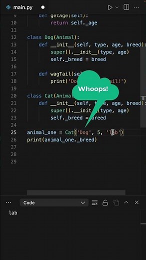 Python Programming: How to Create and Use Child Classes in Python