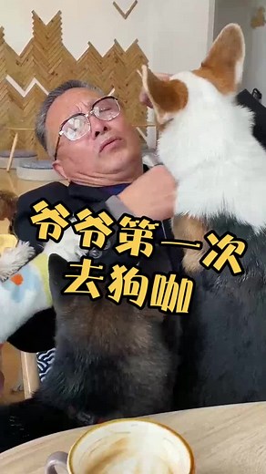 爷爷第一次去狗咖，误食狗狗饼干结果被围攻了哈哈哈哈哈😄！#狗咖 #oldbaby #抖音 #搞笑