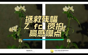 拯救 残幅 Z fc 夜拍高感噪点   Camera Raw AI降噪   照片水印软件分享