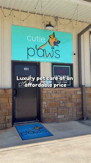 Affordable Luxury Dog Daycare Services in Bulverde