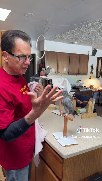 Effective Parrot Training: Stop Biting with Towel Method