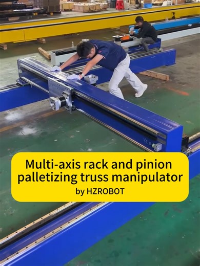 Efficient Multi-Axis XYZ Gantry Palletizing System