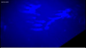 The Defenders: Everyday items that are germ-infested