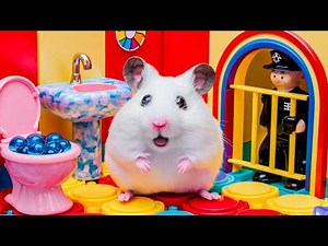 🐹 Hamster Pop It Escape 🌈 The Rainbow Prison Maze Adventure
