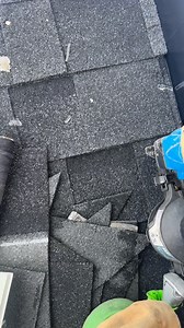 Bucky Beaver on Reels