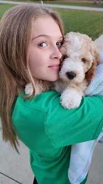 Big Surprise! We're Bringing Home a GOLDENDOODLE Puppy!