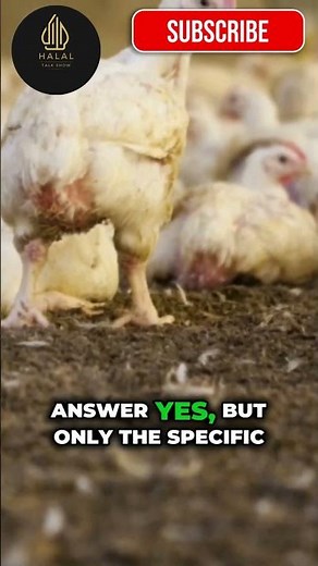 Is Sanderson Farms Chicken Halal or Not? | U.S. Halal Guide