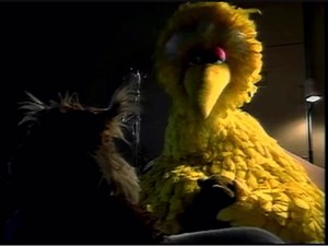 Sesame Street Home Video Visits the Hospital - Big Bird Hoots the Owl Nighttime Scene (1990) (HQ)