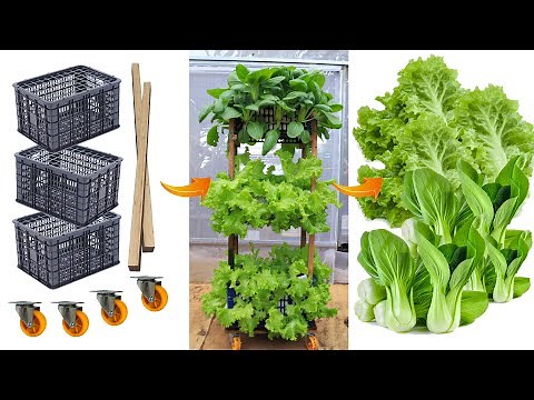 [No garden] Growing vegetables with recycled plastic baskets - Multi-storey vegetable tower