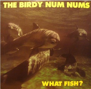 The Birdy Num Nums - What Fish?