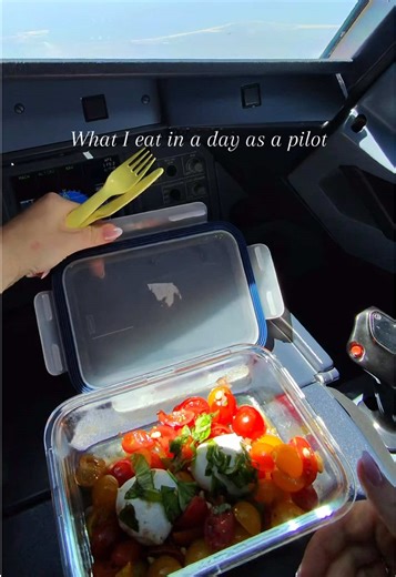What I Eat in a Day as an Airbus Pilot