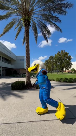 Proof that gravity can’t hold school spirit down. 🦅 Happy Halloween, Eagles! 🧑‍🚀 #ERAUHalloween #GoERAU | Embry-Riddle Aeronautical University - Worldwide