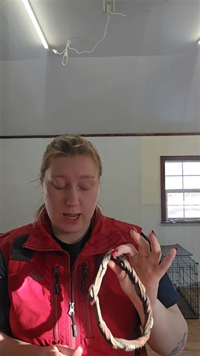 This is another version of a slip lead that gives you a completely different point of communication. It still has a stopper for proper fit and positioning, but it also adds gentle pressure at the back of the head and over the nose, similar to a head halter, which can be useful for dogs that need clearer guidance during leash work. I don’t rely on one single tool for every dog. Different dogs, different handling skills, and different training goals change what I reach for. There are also times wh