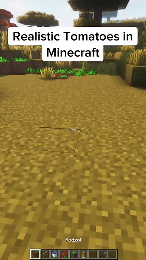 Crafting Realistic Tomatoes in Minecraft