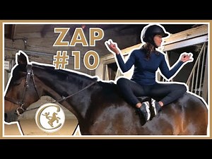 ZAP CHEVAL #10