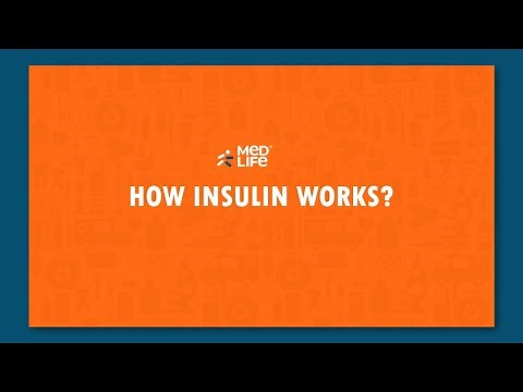 How Insulin Works in Human Body