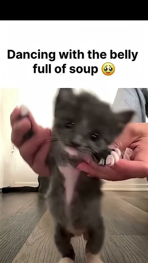the belly is full of soup