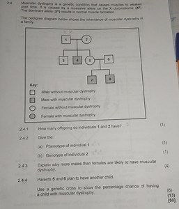 2.4 Muscular dystrophy is a genetic condition that causes muscl... | Filo