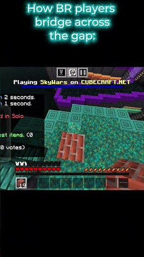 Java Telly-bridge VS Bedrock FW-bridge #java #bedrock