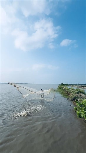 Giant fish catch by net fishing 🦈🐬🕸️ #reels #fishing #CastNetFishing #viral