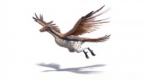 3d Rendered Animation Archaeopteryx Flying Plain 库存影片视频（100% 免版税）1097104639 | Shutterstock