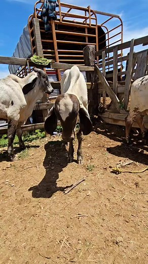 333K views · 4K reactions | Hunter Vlogs on Reels | Facebook