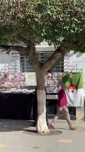 Algiers City | capital city of Algeria | algiers #travel