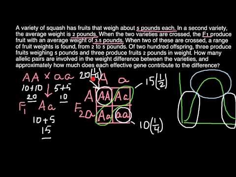How to find how many loci control a trait? (Quantitative Genetics)