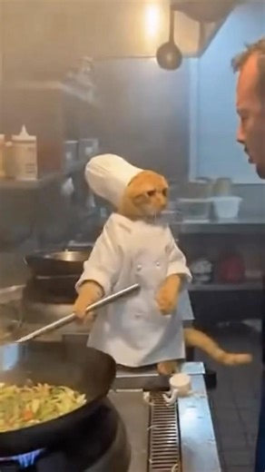 Angry Chef Cat BONKS the Restaurant Manager 😭🥄