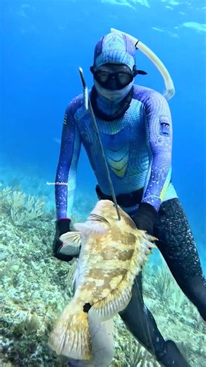 Underwater Archery Spearfishing #fishing #spearfishing
