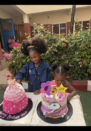 5th Birthday Celebration Recap: Cherished Moments