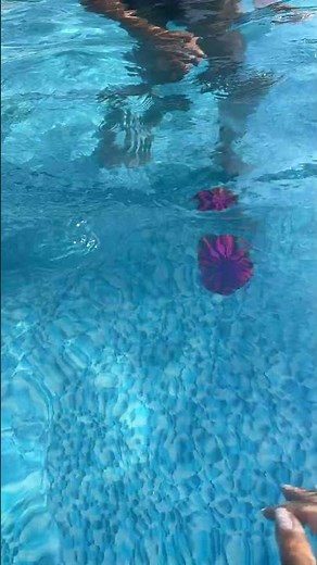 Watermelon Ball JR Review: The Ultimate Pool Toy?