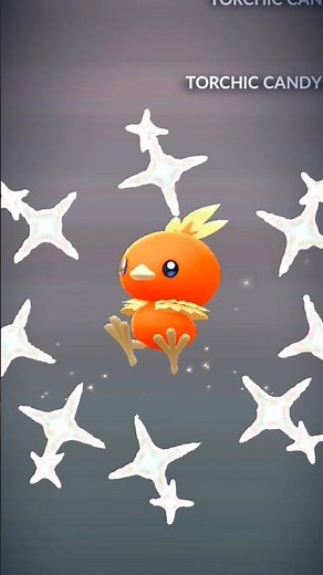 Shiny Torchic Hatch After So Many Eggs! | Pokémon GO #pokemongo #games