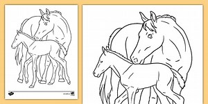 Mother and Foal Horse Coloring Sheet