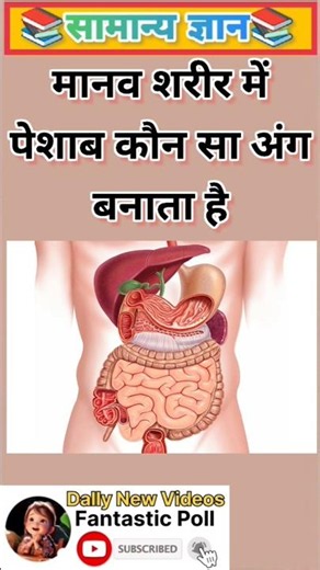 मानव शरीर में पेशाब कौन सा अंग बनाता है #gk #gkquestions #education #ytshorts #shorta |Part-1039
