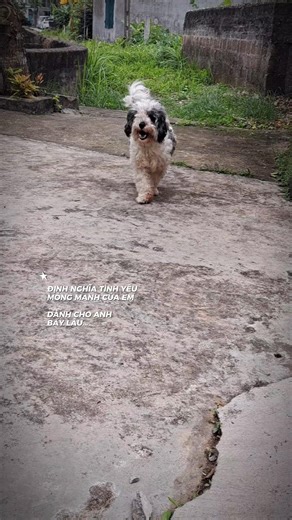 Đừng về trễ nha em yêu dấu ơi!