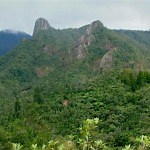 Mining, there is a lot of gold in New Zealand